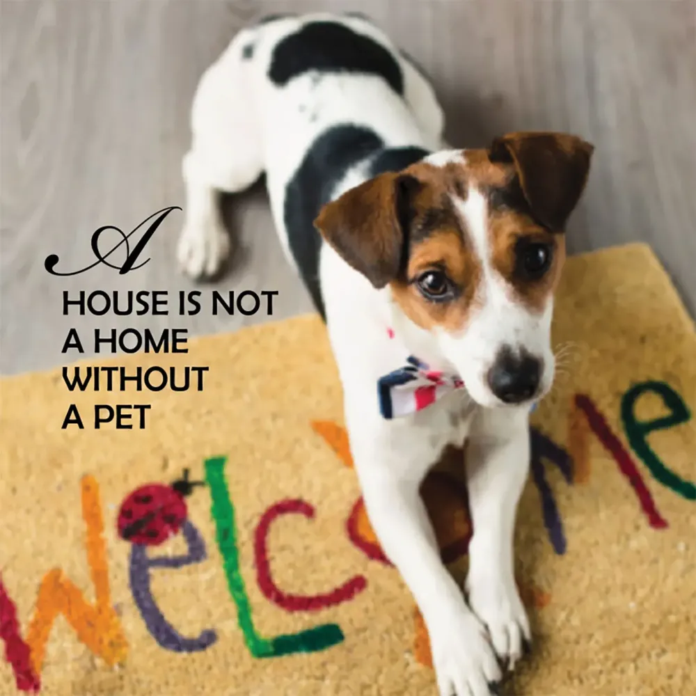 Pup Notes - 60 Notes of Dog Love & Joy